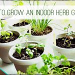 How To Grow Herbs Indoors